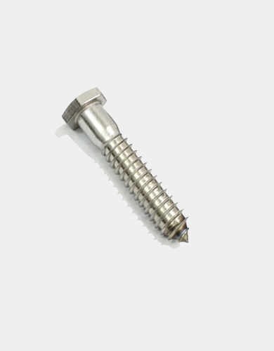 975025 316  .50 IN. X 2.50 IN. STAINLESS STEEL LAG BOLT